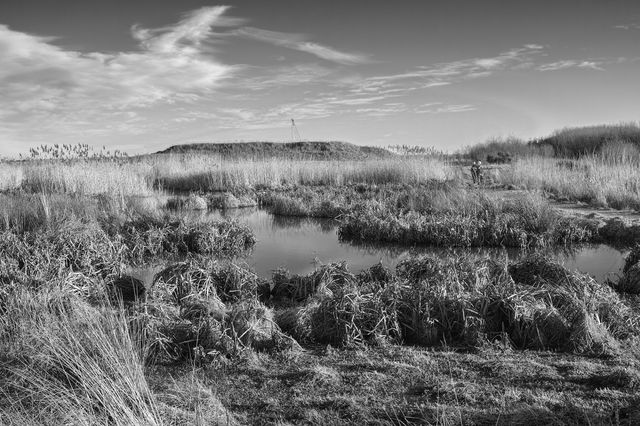 Steve Smith, Fine art print, St Fittick’s Park: Aberdeen, 