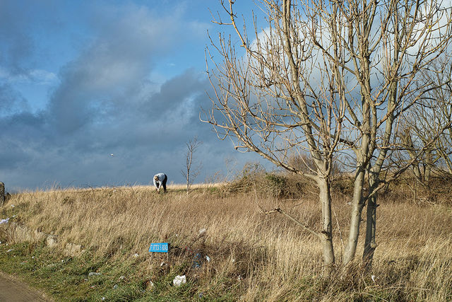 Steve Smith, Fine art print, St Fittick’s Park: Aberdeen, 